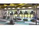 Community gym featuring cardio equipment and treadmills with large windows and natural light at 34329 Evergreen Hill Ct, Wesley Chapel, FL 33545
