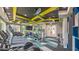Bright gym featuring modern equipment, treadmills, and weight machines in a shared community space at 34329 Evergreen Hill Ct, Wesley Chapel, FL 33545