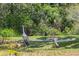 Two sandhill cranes roam a lush green lawn near tropical foliage in this idyllic community at 5020 Mill Pond Rd # 3158 & 3160, Wesley Chapel, FL 33543
