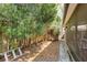Leafy backyard featuring a wooden fence, lush landscaping, and a concrete pathway along the home's exterior at 1888 Springbush Ln, Clearwater, FL 33763