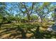 Spacious backyard featuring a lush green lawn and mature trees providing ample shade at 203 S Coolidge Ave, Tampa, FL 33609