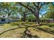 Expansive backyard with a mix of sun and shade, offering a serene outdoor space at 203 S Coolidge Ave, Tampa, FL 33609