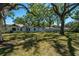View of a spacious backyard featuring lush grass and mature trees for shade at 203 S Coolidge Ave, Tampa, FL 33609