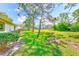 Lush green backyard with mature landscaping that provides privacy and shade for a relaxing outdoor experience at 2507 Royal Pines Cir # 2H, Clearwater, FL 33763