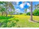 Lush backyard with mature trees and verdant lawn, perfect for outdoor activities at 2507 Royal Pines Cir # 2H, Clearwater, FL 33763