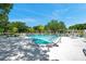 Community pool with lounge chairs surrounded by lush landscaping on a sunny day at 3147 Mission Grove Dr # 3147, Palm Harbor, FL 34684