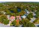 An elevated view of residences, a lake, and a winding road surrounded by verdant greenery and towering trees at 4605 W Vasconia St, Tampa, FL 33629