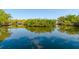 Picturesque waterfront scene with lush greenery reflecting on the water's tranquil surface at 4605 W Vasconia St, Tampa, FL 33629