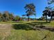 The front yard showcases a spacious lawn and mature trees, with a glimpse of the home at 8437 Indies Dr, Hudson, FL 34667