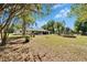 Backyard view featuring mature trees and shed at 1006 Mandalay Dr, Brandon, FL 33511