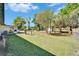 Spacious backyard with lush green grass, mature trees, and a fire pit at 1006 Mandalay Dr, Brandon, FL 33511