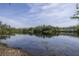 A calm lake reflects the sky, bordered by trees, showcasing a peaceful and natural waterfront landscape at 2206 Green Oaks Ln, Tampa, FL 33612