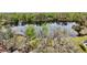Scenic view of a tranquil pond surrounded by lush green trees, creating a serene and picturesque setting at 2206 Green Oaks Ln, Tampa, FL 33612