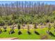 Lush backyard featuring green grass, landscaping, trees and a beautiful wooded view in the distance at 29488 Ginnetto Dr, Wesley Chapel, FL 33543