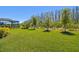 Expansive backyard featuring a lush green lawn, young trees, and views of the screened-in lanai and natural Florida landscape at 29488 Ginnetto Dr, Wesley Chapel, FL 33543