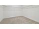 Empty walk-in closet with shelving and carpeted flooring ready for storage and organization at 29488 Ginnetto Dr, Wesley Chapel, FL 33543