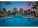Community pool with lap lanes, a waterslide, a lighthouse and tropical landscaping makes for a resort like experience at 513 Manns Harbor Dr, Apollo Beach, FL 33572