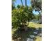 Backyard leading to canal with stone path, greenery and privacy at 5706 River Terrace, Tampa, FL 33604
