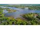 An aerial view showcasing a serene river surrounded by lush greenery and a cluster of waterfront homes at 8910 Eagle Watch Dr, Riverview, FL 33578