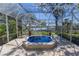 Screened-in pool overlooks a serene lake view; great for relaxation at 8910 Eagle Watch Dr, Riverview, FL 33578