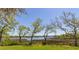 Scenic water view with lush landscaping and mature trees, creating a serene outdoor setting at 8910 Eagle Watch Dr, Riverview, FL 33578
