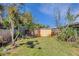 Grassy backyard with a storage shed surrounded by lush landscaping and a wooden fence at 1988 58Th N St, St Petersburg, FL 33710