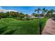 Expansive backyard offering serene water views and private docks for the homeowners to enjoy at 2571 Cyprus Dr # 1-105, Palm Harbor, FL 34684