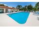 Sparkling community pool at Lake Tarpon Villas, surrounded by comfortable lounge chairs at 2571 Cyprus Dr # 1-105, Palm Harbor, FL 34684