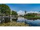 Scenic water view of the community featuring mature trees and lush vegetation at 2571 Cyprus Dr # 1-105, Palm Harbor, FL 34684