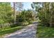 Long driveway lined with trees and foliage at 317 Old East Lake Rd, Tarpon Springs, FL 34688