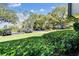 Exterior shot of a parking lot shaded by large mature trees and lush green spaces at 36750 Us 19 N # 17106, Palm Harbor, FL 34684