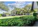 Exterior shot of the parking lot surrounded by mature trees and green space at 36750 Us 19 N # 17106, Palm Harbor, FL 34684