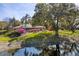 Scenic backyard view features the home overlooking a pond surrounded by lush tropical landscaping at 8823 Crescent Forest Blvd, New Port Richey, FL 34654