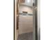 Modern shower with a rainfall showerhead, mosaic tile accent, and penny tile floor at 12929 Prestwick Dr, Riverview, FL 33579