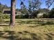 Spacious backyard with lush lawn, a privacy fence and mature trees and an in-ground pool at 1465 Fundy Rd, Venice, FL 34293