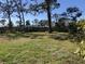 Spacious backyard with lush lawn, a privacy fence and mature trees at 1465 Fundy Rd, Venice, FL 34293
