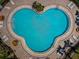 Aerial view of community pool featuring palm trees, lounge chairs, tables and stair entry at 15925 Pond Rush Ct, Land O Lakes, FL 34638