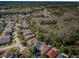 Expansive aerial shot of the neighborhood featuring manicured lawns and proximity to a nature preserve at 15925 Pond Rush Ct, Land O Lakes, FL 34638