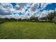 Large green field in the community, framed by trees and a blue sky at 15925 Pond Rush Ct, Land O Lakes, FL 34638