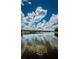 Picturesque lake view reflecting a vibrant blue sky with fluffy clouds, offering a peaceful and scenic vista at 15925 Pond Rush Ct, Land O Lakes, FL 34638