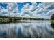 Serene lake view reflecting blue sky and clouds, surrounded by lush trees and homes, creating a tranquil backdrop at 15925 Pond Rush Ct, Land O Lakes, FL 34638