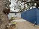 Backyard featuring a blue shed, stone pavers, and hanging plants, enhanced by mature trees and lush greenery at 1731 W Perio St, Tampa, FL 33612