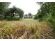 Lush backyard with mature trees and a screened pool in the distance. Tall grass in foreground at 229 Tazewell Dr, Port Charlotte, FL 33954