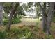 Expansive backyard with mature trees, lush landscaping and a screened pool in the distance at 229 Tazewell Dr, Port Charlotte, FL 33954