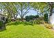 Lush backyard featuring a well-maintained lawn, mature trees, and manicured landscaping, creating a serene outdoor space at 3952 Applegate Cir, Brandon, FL 33511