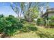 Well-maintained backyard with lush greenery, mature trees, and manicured shrubs, offering a peaceful outdoor escape at 3952 Applegate Cir, Brandon, FL 33511
