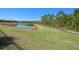Backyard view of the yard leading to the lake at 4782 Night Star Trl, Odessa, FL 33556