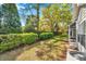 Green backyard with privacy hedge and screened-in porch at 5159 Sterling Manor Dr, Tampa, FL 33647