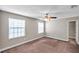 Bedroom with plush carpet, a ceiling fan, and large windows for natural light at 5159 Sterling Manor Dr, Tampa, FL 33647