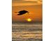 Stunning ocean view featuring a bird flying towards the sunset over the Gulf waters at 880 Mandalay Ave # S514, Clearwater Beach, FL 33767